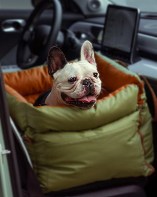PawLounge™